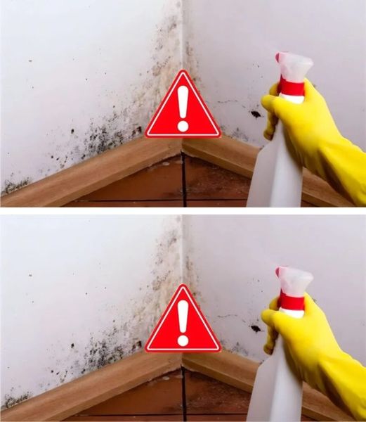 434731140 122138903390101589 2393114318669718006 N