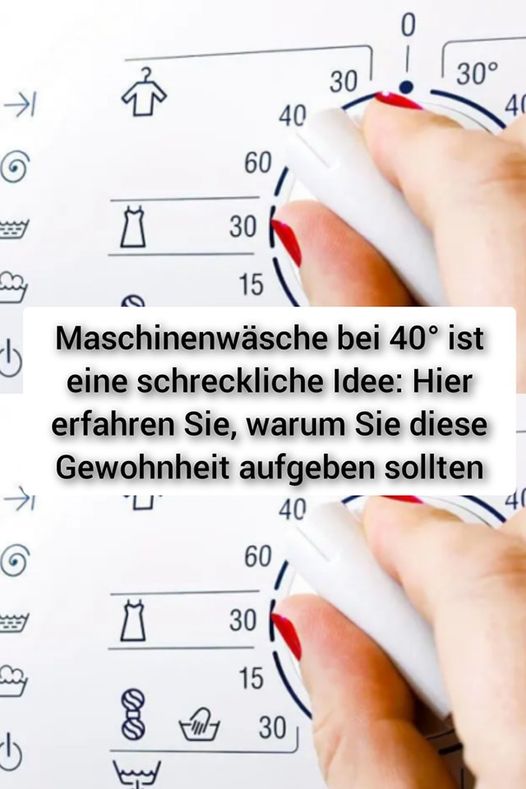 434776279 122127209384230933 7196734743751713204 N