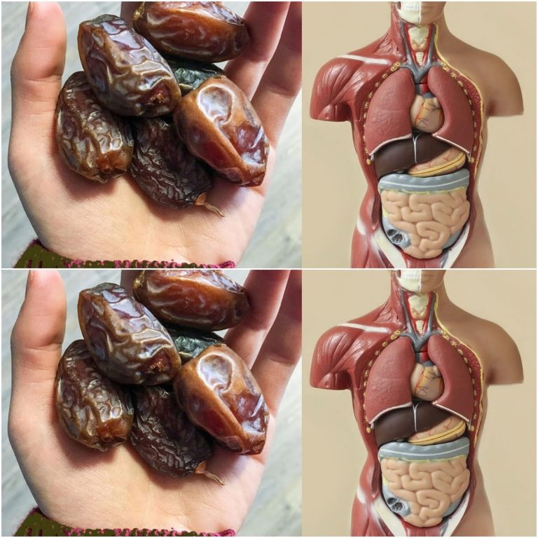 435573802 122137216154140129 3836792652217069184 N