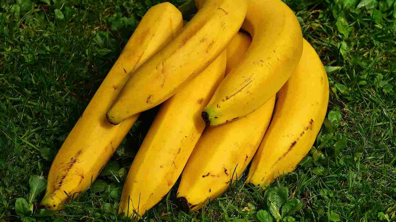 Banana Nel Terreno