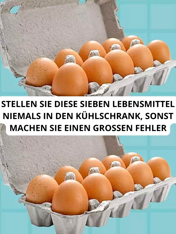 399180891 203370539462695 5697626879592775320 N 1