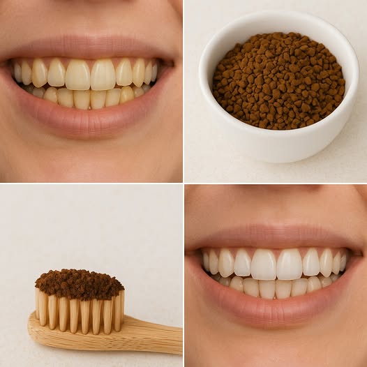 495642590 122231851514217733 324828250117583388 N